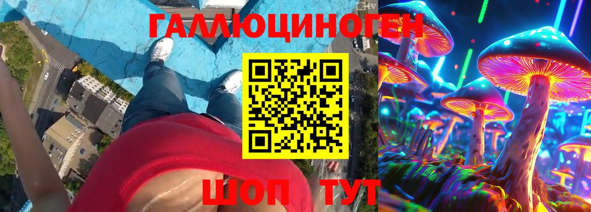Галлюциногенные грибы Psilocybe  Вход с VPN  Электросталь 
