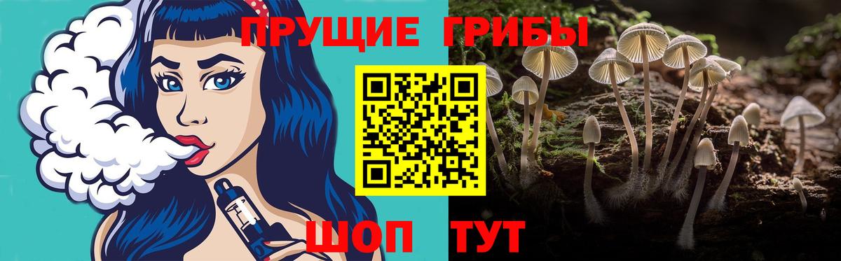 Галлюциногенные грибы MAGIC MUSHROOMS Электросталь
